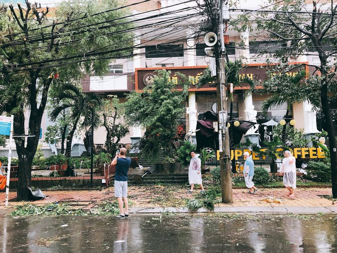 Chùm ảnh: Đường phố Nha Trang tan tác sau khi cơn bão số 12 càn quét - Ảnh 4.