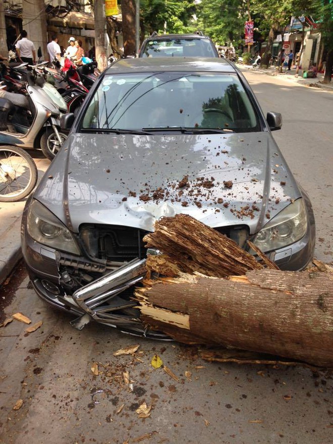 Nữ tài xế vừa bước ra khỏi xe chưa đầy 10 giây, chiếc Mercedes đã bị cây lớn đè bẹp đầu - Ảnh 2.