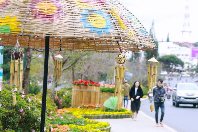 Đường hoa rực rỡ và đẹp mắt trước thềm Festival hoa Đà Lạt thu hút khách du lịch - Ảnh 6.