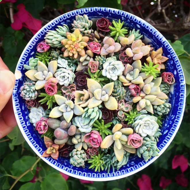 25 khoảnh khắc ho&agrave;n hảo tới từng milimet l&agrave;m h&agrave;i l&ograve;ng những người d&ugrave; l&agrave; kh&oacute; t&iacute;nh nhất - Ảnh 43.