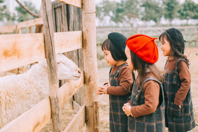 Mẹ chơi với nhau thời ĐH, lên 3 tuổi các con đã có bộ ảnh cùng hội bạn thân siêu đáng yêu - Ảnh 4.