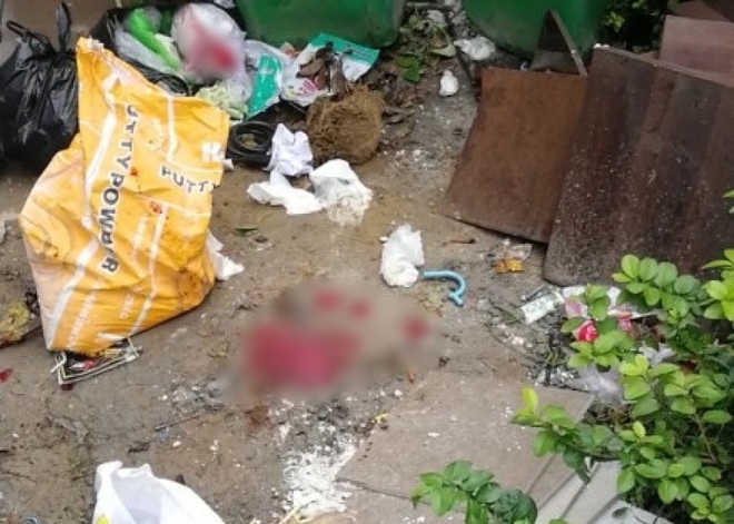 H&ugrave;a theo vợ đ&aacute;nh đập nữ lao c&ocirc;ng đ&aacute;ng thương, giảng vi&ecirc;n du học nước ngo&agrave;i khiến dư luận Trung Quốc phẫn nộ - Ảnh 3.