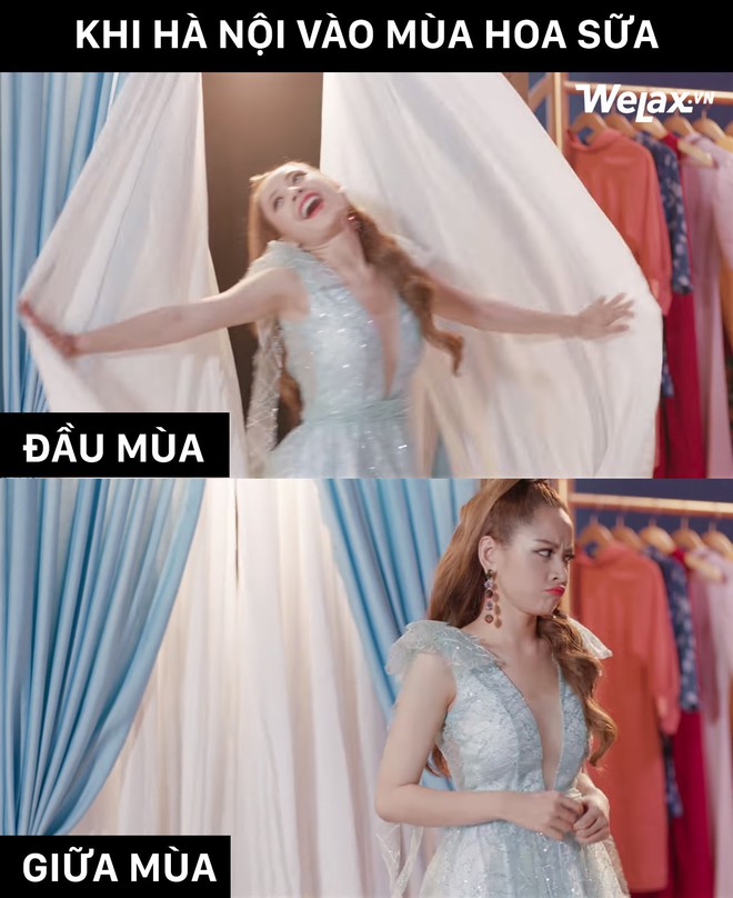 Thơ ca l&atilde;ng mạn thế n&agrave;y nhưng vẫn kh&ocirc;ng thể n&agrave;o chịu nổi m&ugrave;i hoa sữa! - Ảnh 1.