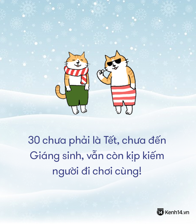 Cẩm nang: Noel không có gấu thì làm gì? - Ảnh 5.