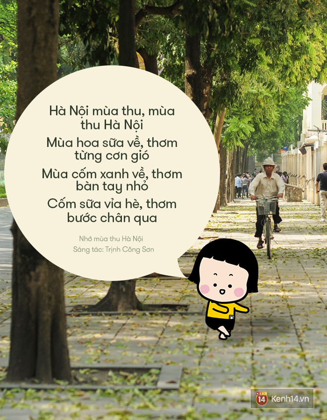 Thơ ca l&atilde;ng mạn thế n&agrave;y nhưng vẫn kh&ocirc;ng thể n&agrave;o chịu nổi m&ugrave;i hoa sữa! - Ảnh 5.