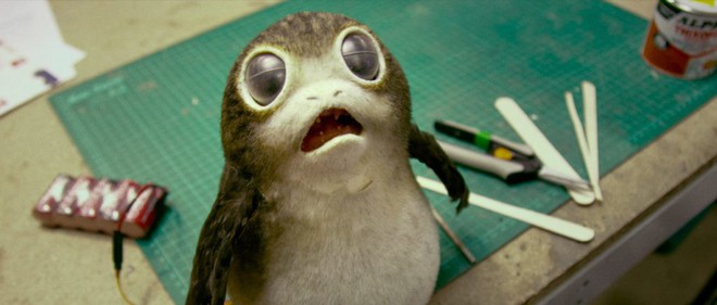 Lo mà giữ chặt ví tiền, vì linh vật đáng yêu lạc lối Porgs của Star Wars: The Last Jedi sẽ đốn tim bạn! - Ảnh 4.