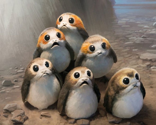 Đã tìm ra công thức tạo nên nhân vật Porgs siêu dễ thương trong Star Wars: The Last Jedi - Ảnh 4.