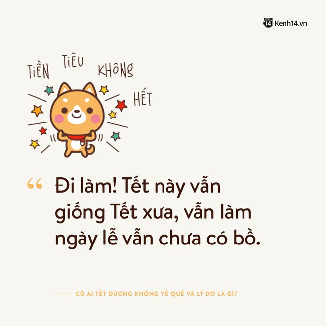 Tại sao Tết dương này bạn không về quê? - Ảnh 7.