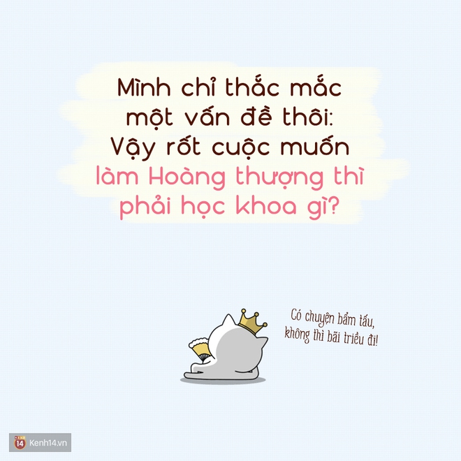 Nếu xuyên về quá khứ, công việc thực sự của ngành bạn đang học hiện tại là gì thế? - Ảnh 9.