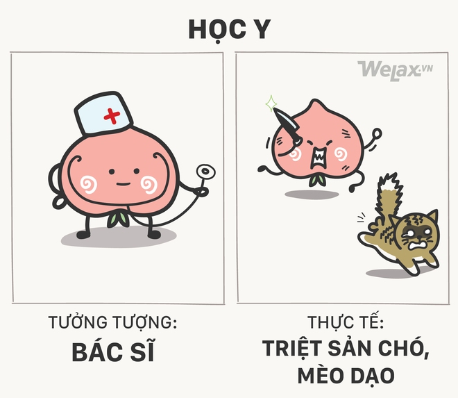 10 sự thật gi&uacute;p bạn mất sạch niềm tin v&agrave;o nghề nghiệp tương lai - Ảnh 9.