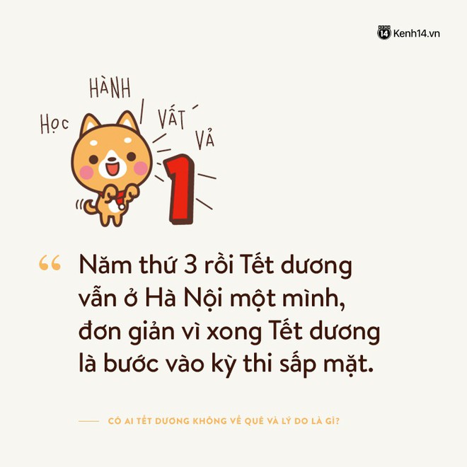 Tại sao Tết dương này bạn không về quê? - Ảnh 9.