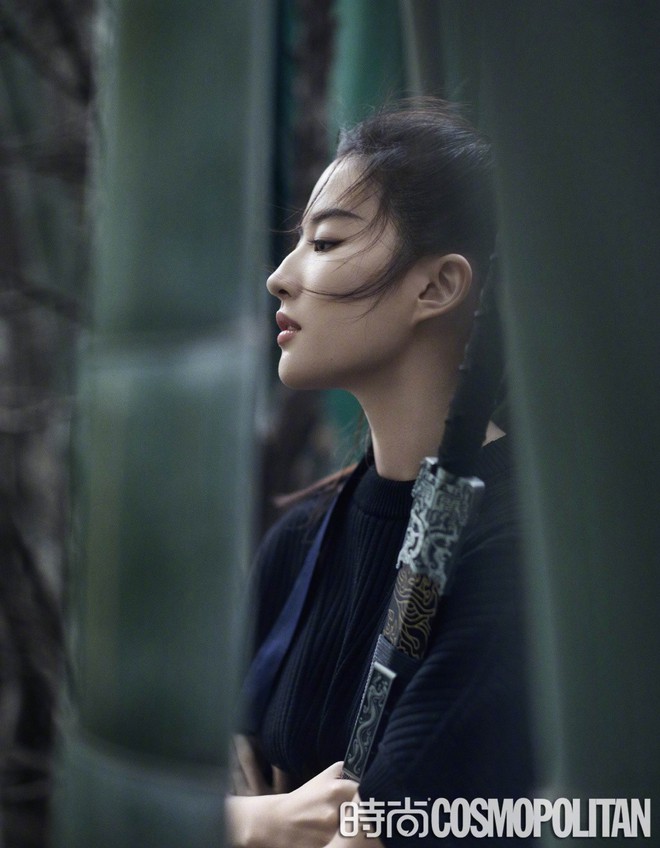 Sự thật về tạo h&igrave;nh Hoa Mộc Lan của Lưu Diệc Phi khiến netizen ng&atilde; ngửa v&igrave;... chẳng li&ecirc;n quan! - Ảnh 8.