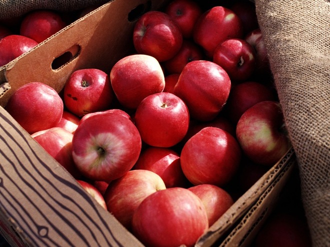 Người bị táo bón nhất định không nên bỏ qua 4 loại trái cây hữu ích này - Ảnh 3.