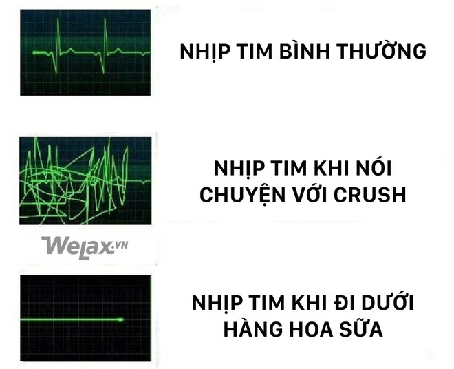 Từ hôm nay, hãy gọi tôi là người căm thù mùi hoa sữa! - Ảnh 11.