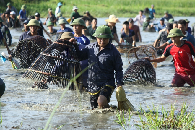 Hà Tĩnh: Hàng trăm người đội nắng xuống đầm bắt cá để cầu may - Ảnh 7.