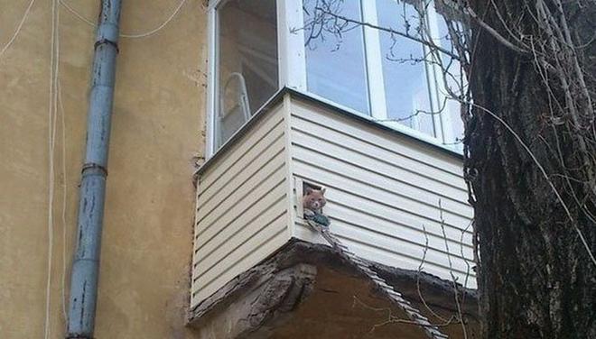 15 cảnh tượng kh&oacute; đỡ m&agrave; bạn c&oacute; thể bắt gặp ở ban c&ocirc;ng - Ảnh 25.