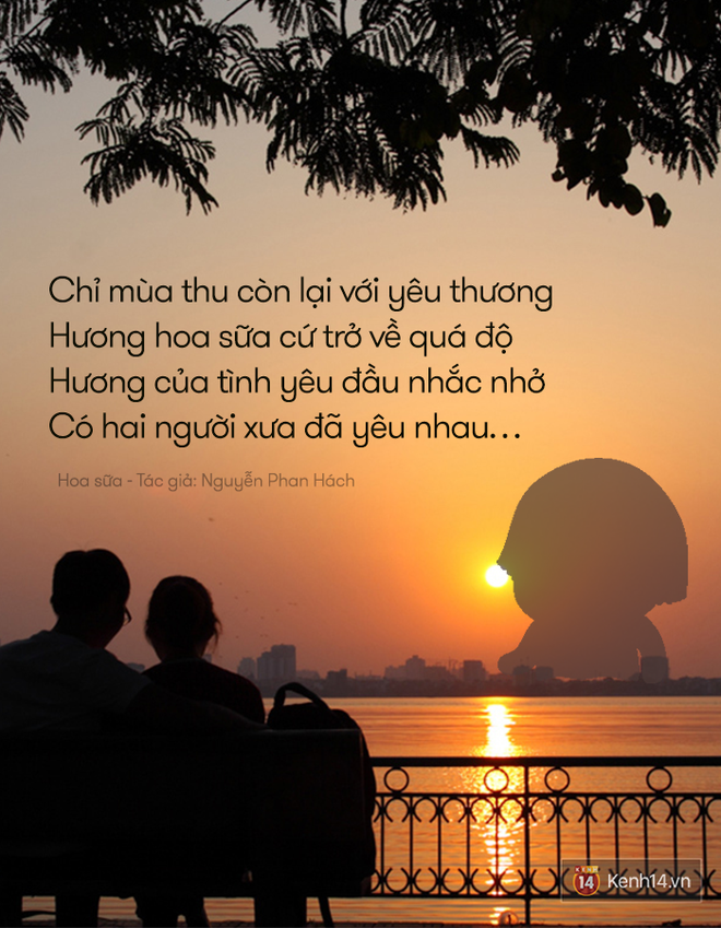 Thơ ca lãng mạn thế này nhưng vẫn không thể nào chịu nổi mùi hoa sữa! - Ảnh 9.