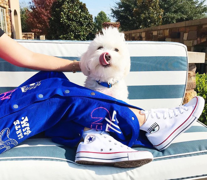 Ch&acirc;u B&ugrave;i xuất hiện si&ecirc;u chất trong video của Converse thế n&agrave;y, d&acirc;n t&igrave;nh lại đổ x&ocirc; đi mua Chuck Taylor mới cho xem - Ảnh 2.