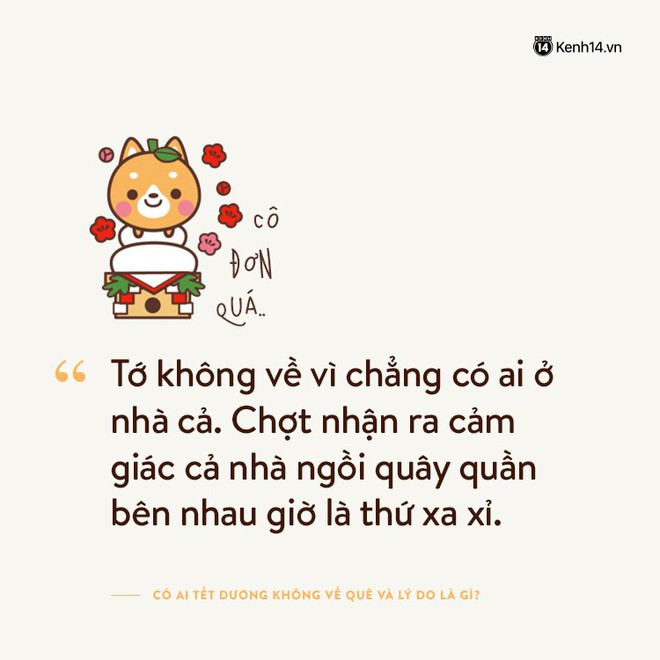 Tại sao Tết dương này bạn không về quê? - Ảnh 13.