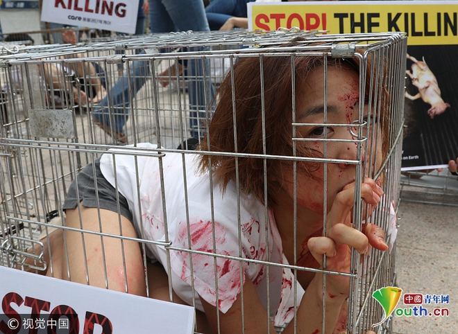 Nhiều thiếu nữ Hàn Quốc co ro trong lồng để phản đối ăn thịt chó - Ảnh 4.