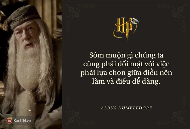 Đã 2 thập kỷ nhưng fan Harry Potter vẫn luôn nằm lòng những trích dẫn cùng mình lớn lên trong từng trang sách! - Ảnh 15.