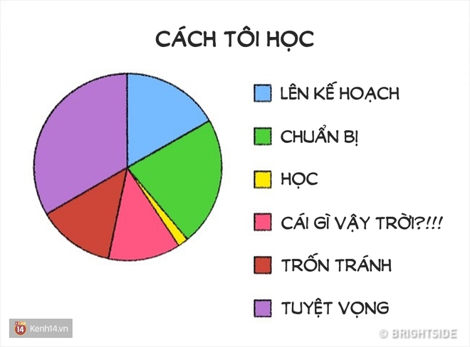 Cuộc sống có đôi khi đơn giản đến mức chỉ cần mấy biểu đồ cũng phác họa được! - Ảnh 11.