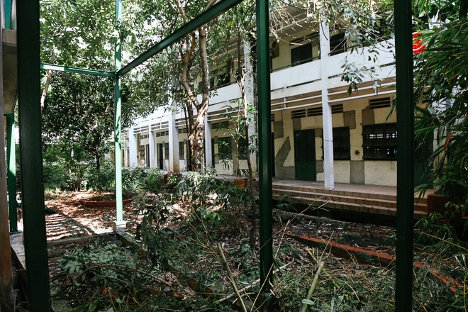 Cảnh u ám bên trong ngôi trường tiểu học 20 tỷ đồng bị bỏ hoang gần 10 năm giữa Sài Gòn - Ảnh 2.