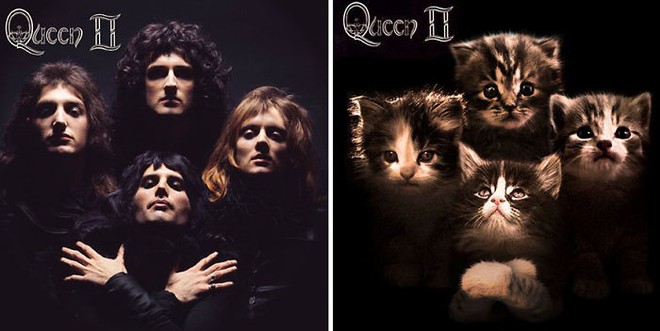 Thay đám mèo cute vào hình ca sĩ trên bìa album, cuối cùng hiệu ứng từ chúng còn hiệu quả hơn bản gốc - Ảnh 33.