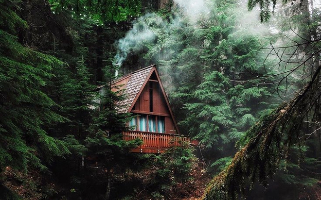 Tưởng tượng về ngôi nhà trong rừng sâu, giải mã tâm lý mỗi người - Ảnh 1.