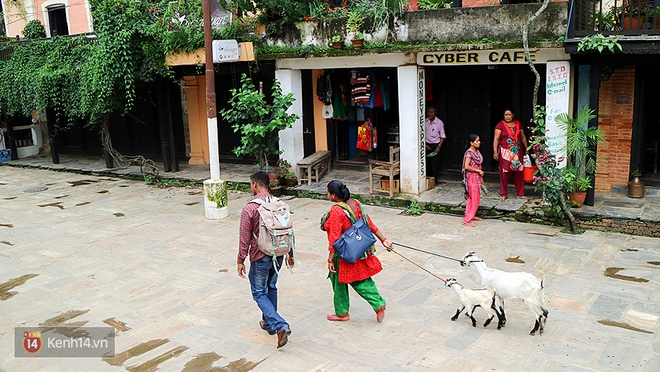 Đến Nepal, nhất định phải gh&eacute; qua Bandipur để tận hưởng thi&ecirc;n đường b&igrave;nh y&ecirc;n b&ecirc;n sườn n&uacute;i - Ảnh 9.