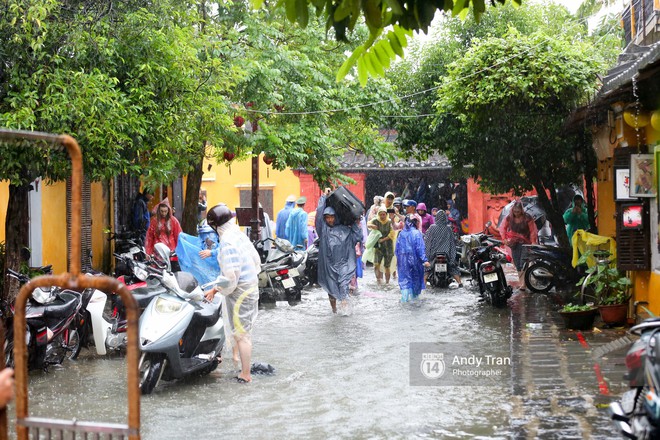 Chùm ảnh: Hội An nước ngập thành sông do ảnh hưởng của bão, người dân và du khách chật vật dùng thuyền bè di chuyển - Ảnh 19.