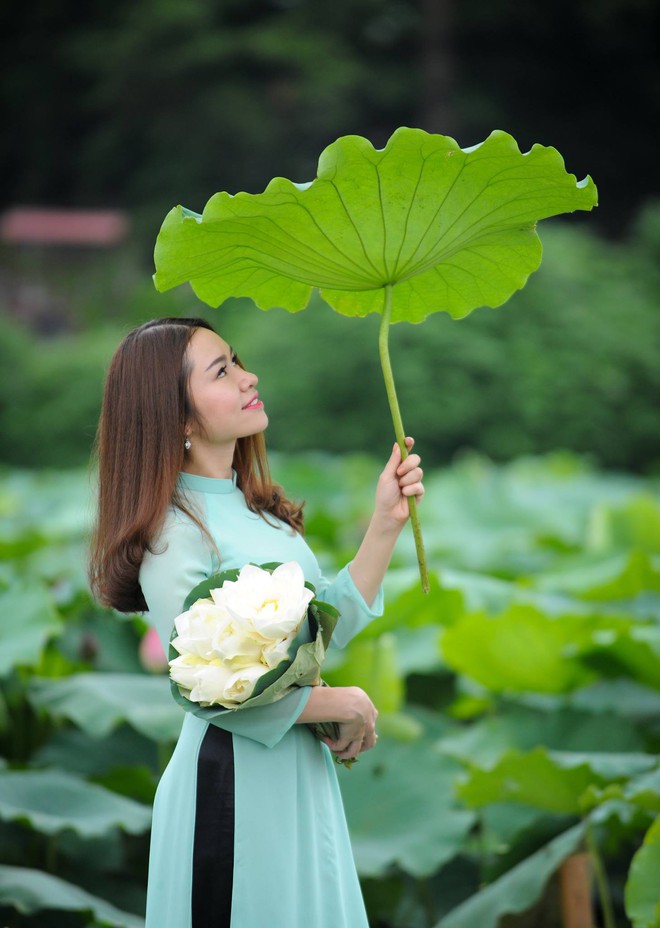 Miễn phí vé vào cổng “Thung lũng hoa Hồ Tây” - Ảnh 3.