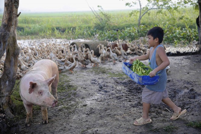 Lương Mạnh Hải và con trai đã chia sẻ những kinh nghiệm dạy dỗ con cái hay ho như thế nào trong Khi con là nhà!? - Ảnh 3.