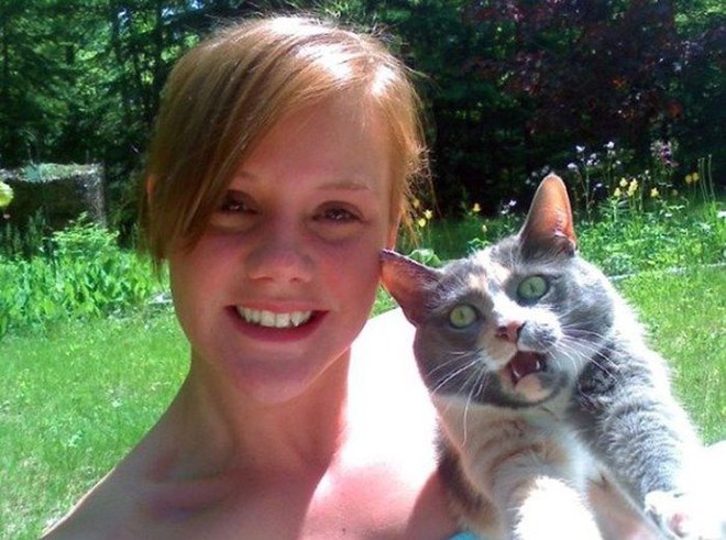 16 ch&uacute; m&egrave;o gh&eacute;t cay gh&eacute;t đắng việc selfie c&ugrave;ng chủ nh&acirc;n - Ảnh 25.