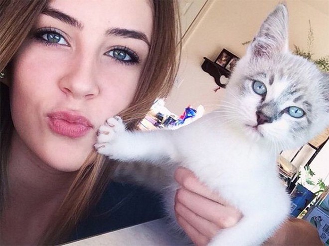 16 ch&uacute; m&egrave;o gh&eacute;t cay gh&eacute;t đắng việc selfie c&ugrave;ng chủ nh&acirc;n - Ảnh 27.