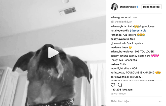 Ariana Grande đăng tải clip đầu ti&ecirc;n sau khi rời Việt Nam: Muốn &aacute;m chỉ điều g&igrave;? - Ảnh 2.