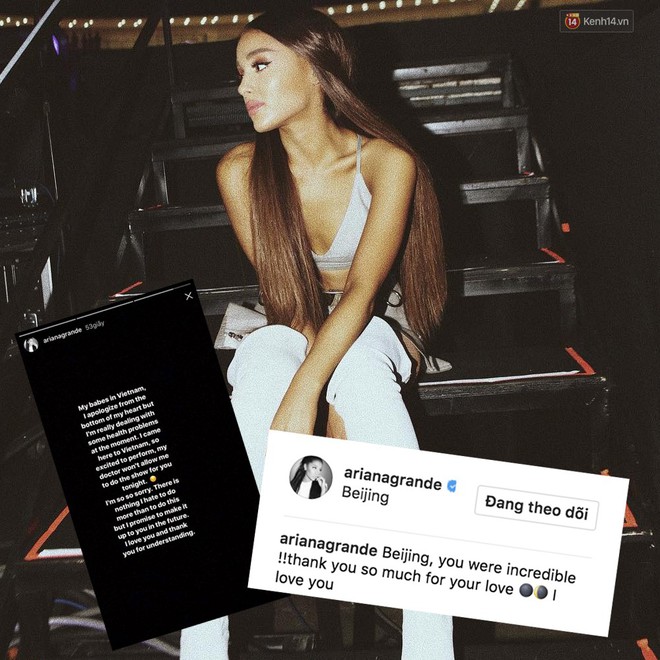 Ariana Grande là ca sĩ được tìm kiếm nhiều nhất 2017, hãy cảm ơn người Việt một chút nào - Ảnh 2.