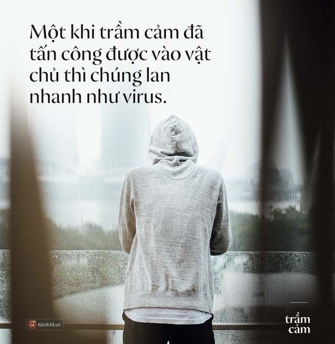 Thư gửi người trầm cảm: 9 từ duy nhất để bạn vượt thoát và sống lại - Ảnh 1.