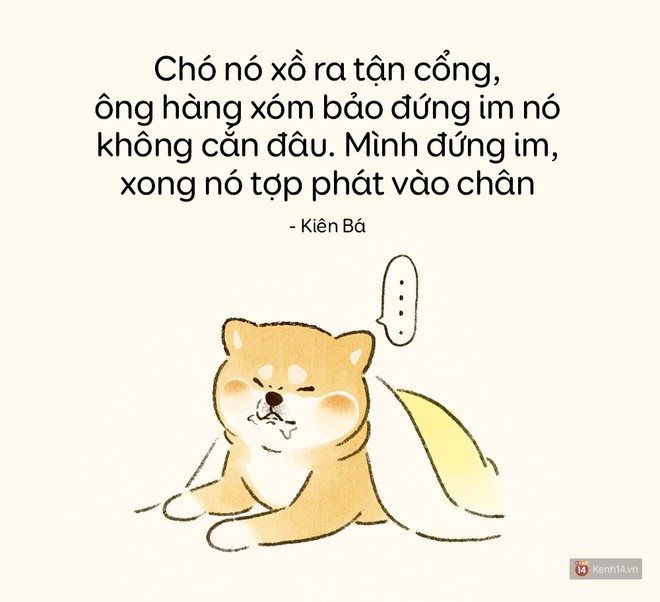 Ai cũng có một thời: Sợ chó đến mất cả lý trí, tin câu cứ đi đi, nó không cắn đâu! thì y như rằng phải đi tiêm phòng - Ảnh 3.