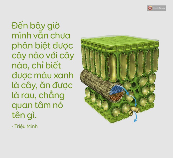 Có ai hiểu cảm giác của những người không có duyên với môn Sinh? - Ảnh 9.