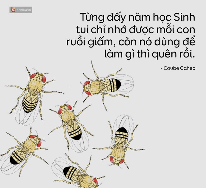 Có ai hiểu cảm giác của những người không có duyên với môn Sinh? - Ảnh 15.