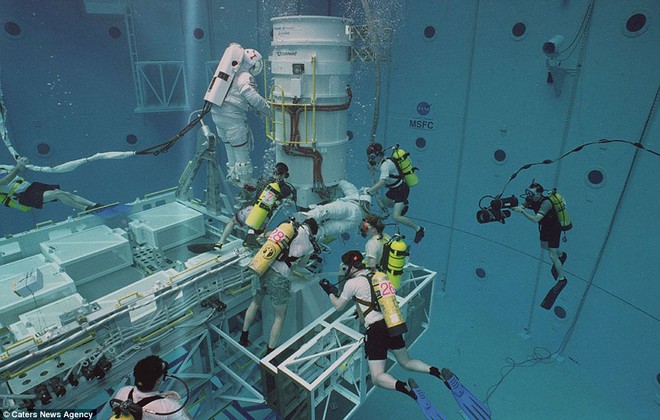 NASA đã trả hẳn 18.000 USD, chỉ cần bạn nằm yên trên giường trong 70 ngày - Ảnh 3.