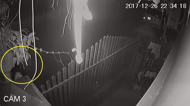 Clip: Lợi dụng mưa gi&oacute;, t&agrave;i xế taxi tr&egrave;o tường cầm hộ gi&ograve; phong lan 10 triệu đồng ở H&agrave; Nội - Ảnh 4.