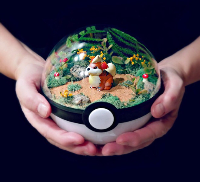 Những khu vườn Pokeball nhỏ xinh trong lòng bàn tay khiến fan hâm mộ Pokemon phát cuồng - Ảnh 1.