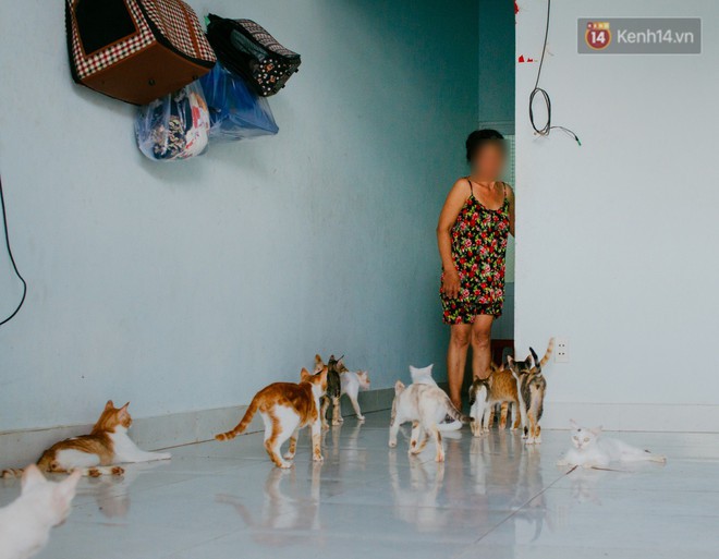 Người phụ nữ hy sinh 20 năm tuổi xuân để cưu mang hàng trăm chú mèo hoang ở Sài Gòn - Ảnh 1.