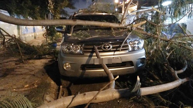 Cả gia đình suýt mất mạng khi nhánh cây to ngã đè lên ô tô ở Sài Gòn - Ảnh 2.