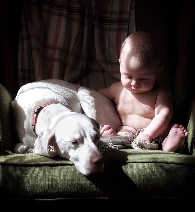 Tình bạn ấm áp của em bé và chú chó từng là nạn nhân của nạn bạo hành động vật - Ảnh 3.