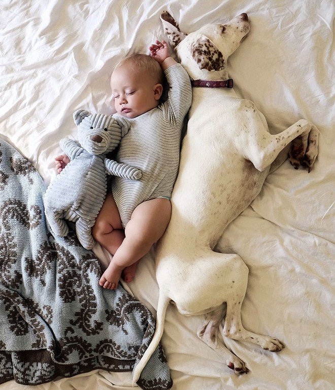 Tình bạn ấm áp của em bé và chú chó từng là nạn nhân của nạn bạo hành động vật - Ảnh 13.