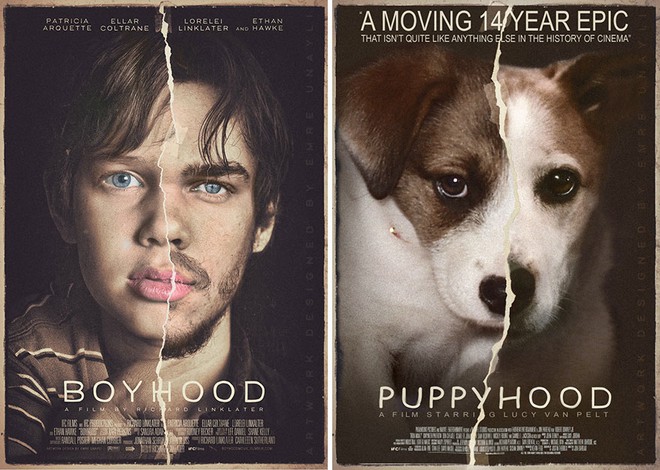 Ghen tị với chú chó dễ thương xuất hiện trong cả tá poster phim nổi tiếng nhờ Photoshop - Ảnh 7.