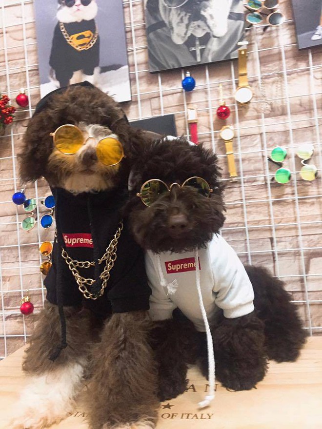 Bọn boss ra đường m&ugrave;a n&agrave;y phải như fashionista mới chịu cơ - Ảnh 3.
